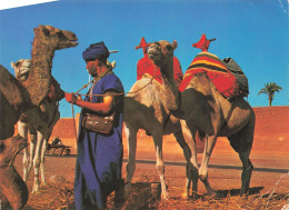 MAROC - Marrakech - Prêt Pour Une  Promenade - Carte Postale Récente - Marrakech