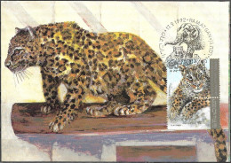 Israel 1992 Maximum Card Leopard The Zoological Center Ramat Gan [ILT1637] - Maximumkarten