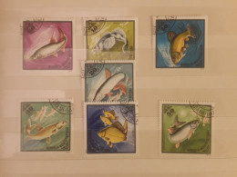 1975	Mongolia Fishes  (F73) - Mongolie