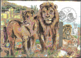 Israel 1992 Maximum Card Asian Lion The Jerusalem Zoo [ILT1639] - Briefe U. Dokumente