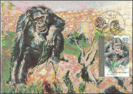 Israel 1992 Maximum Card Chimpanzee Monkeys The Jerusalem Zoo [ILT1640] - Covers & Documents