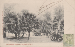 ANTILLES TRINIDAD B. W. I.  GOVERNMENT GARDENS   PRECURSEUR - Trinidad