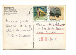 TORTUE / PAPILLON - BRESIL - Affranchissement Sur Carte Postale Pour La Suisse - Turtles