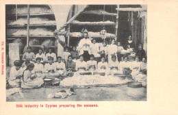 CHYPRE - CYPRUS - Silk Industry In Cyprus Preparing The Cocoons - Carte Postale Ancienne - Cyprus