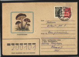 RUSSIA USSR Stationery USED ESTONIA  AMBL 1229 KINGISSEPP Mushrooms - Unclassified