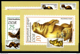 E09742)Maxikarte DDR 2677/80 Tiere - Cartes-Maximum (CM)