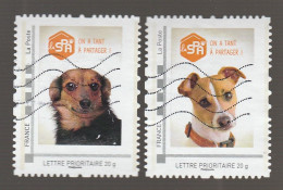 MONTIMBRAMOI SPA CHIENS OBLITERE - Used Stamps