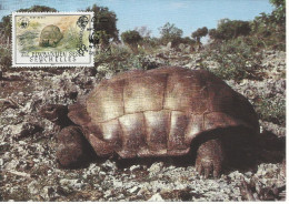 26136)  Seychelles  WWF 1985 Tortoise Maxi Postcard Cover - Seychelles (1976-...)