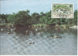 26137)  Seychelles  WWF 1985 Tortoise Maxi Postcard Cover - Seychelles (1976-...)