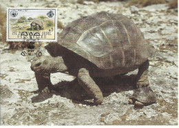 26138)  Seychelles  WWF 1985 Tortoise Maxi Postcard Cover - Seychelles (1976-...)