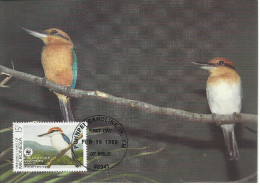 26146) Micronesia  WWF 1990 Bird Maxi Postcard Cover - Micronésie