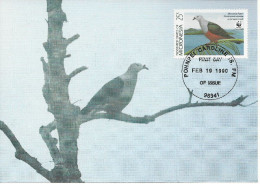 26148) Micronesia  WWF 1990 Bird Maxi Postcard Cover - Micronésie