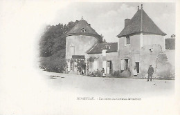 MONETEAU ( 89 ) - Les Restes Du Château De Colbert - Moneteau