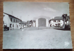 Carte Postale - Itxassou - Le Fronton Et Les Hôtels - Pays Basque - Itxassou