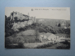 Vallée De La Molignée - Ruines De Montaigle Et Scierie - Onhaye - Onhaye