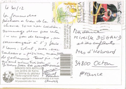52924. Postal Aerea CASTRIES (Santa Lucia) 1995. Cuadro Antillas, Jardines De Kaina - St.Lucie (1979-...)