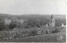 PRESLES ( 95 ) - Vue Générale ( C.P.S.M., Pt - Ft ) - Presles