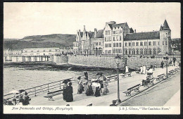 ABERYSTWYTH New Promenade And College ± 1910 - Cardiganshire