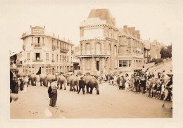 Dinard * 3 Photos Anciennes * Passage Du Cirque Devant Hôtel LA ROTONDE Et Petit Casino * Circus éléphants Indiens - Dinard