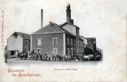 LUXEMBOURG SOUVENIR DE BASCHARAGE BRASSERIE BOFFERDIUG TRES BELLE  ANIMATION  9X14 REIMPRESSION DE CARTES ANCIENNES - Bascharage