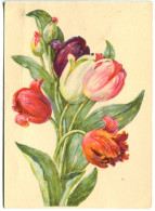 URSS - Entier Postal 1956 - Fleurs Tulipes - 1950-59