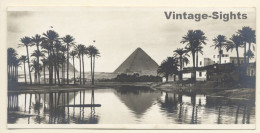 Egypt: Landscape Near The Pyramids (Vintage RPPC ~1910s/1920s) - Piramidi