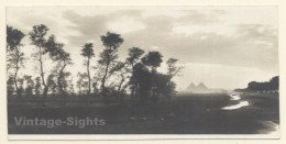 Egypt: Landscape - Pyramids - Desert (Vintage RPPC ~1910s/1920s) - Pyramids