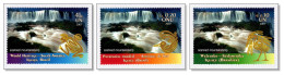 United Nations 2007 (B14) Brazil Argentina - Iguacu Iguazu Waterfall Wasserfälle Chutes D'eau Cascate MNH ** - Emissions Communes New York/Genève/Vienne