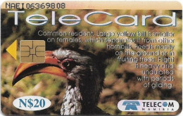 Namibia - Telecom Namibia - Birds Of Namibia, Yellow Billed Hornbill, Solaic, 1999, 20$, Used - Namibia