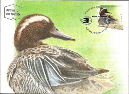 Israel 1989 Maximum Card Garganey Ducks Of Israel [ILT1643] - Cartes-maximum
