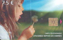 CC-KT1A  12/2011 (validité 31/12/2015) - FILLETTE - SÈME AUX VENTS  - 7.50 €  GEM - 2011