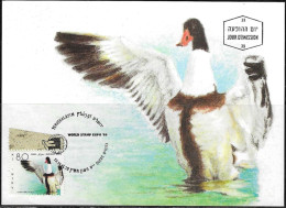 Israel 1989 Maximum Card Shelduck Ducks Of Israel [ILT1109] - Cartes-maximum