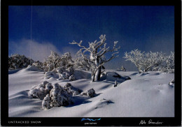 5-12-2023 (1 W 21)  Australia - Winter Scenery (snow & Trees / Neige Et Arbres) - Arbres