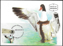 Israel 1989 Maximum Card Shelduck Ducks Of Israel [ILT1109] - Covers & Documents