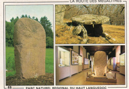 CPM - M - PARC NATUREL REGIONAL DU HAUT LANGUEDOC - LA ROUTE DES MEGALITHES - Languedoc-Roussillon
