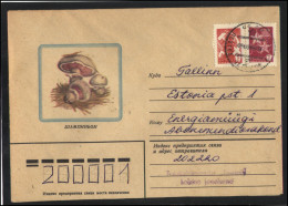 RUSSIA USSR Stationery USED ESTONIA  AMBL 1231 LEHTSE Mushrooms - Unclassified