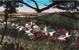 Châtonnay * Vue Générale Sur Le Village - Châtonnay