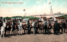 20319  BARRY ISLAND  The Donkeys  (  2 Scans) - Glamorgan