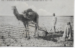 LABOURAGE DANS LE SUD - Sammlungen & Sammellose