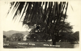 Cuba, Paisage Cuba, Cuban Landscape (1930s) Foto Barrero RPPC Postcard - Cuba