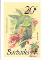 Thème Oiseaux - Barbados - Hummingbird - Colibris - Colibrì