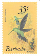 Thème Oiseaux - Barbados - Green-throated Carib - Colibri Falle-vert - Colibris