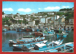 Luarca (Asturias) Puerto 2scans 03-09-2010 - Asturias (Oviedo)