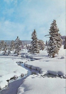 AK 184294 GERMANY - Winter Im Schwarzwald - Hochschwarzwald