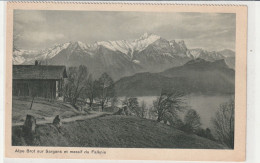 ALP BROT SARGANS MIT FALKNIS - Sargans