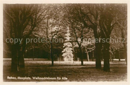 43186219 Rehau Oberfranken Maxplatz Weihnachtsbaum Fuer Alle Rehau Oberfranken - Rehau