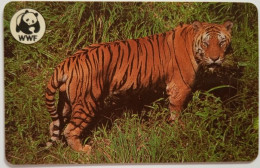 Malawi  100 -WWF Tiger ( Fake ) - Malawi