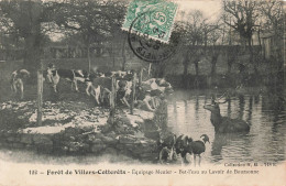 FRANCE - Forêt De Villers Cotterets - Équipage Menier - Bat-l'eau Au Lavoir De Boursonne - Carte Postale Ancienne - Villers Cotterets