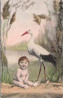 FANTAISIES - Bébé Et Cigogne - Marécage - Carte Postale Ancienne - Baby's