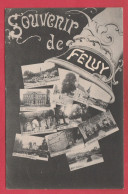 Feluy ... Souvenir De ... Carte Multivues - 1918  ( Voir Verso ) - Seneffe